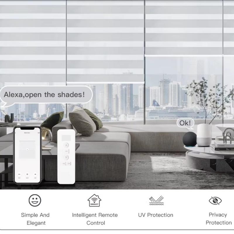 China Factory Wholesal 100% Blackout Day And Night Dual Shade WiFi APP Remote Control Smart Motorized Zebra Blinds For Window