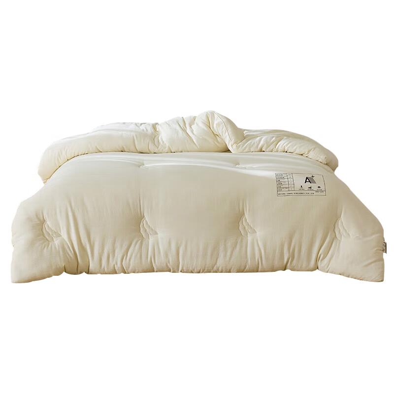 

PLOVER Washed Cotton Soybean Fiber Quilt