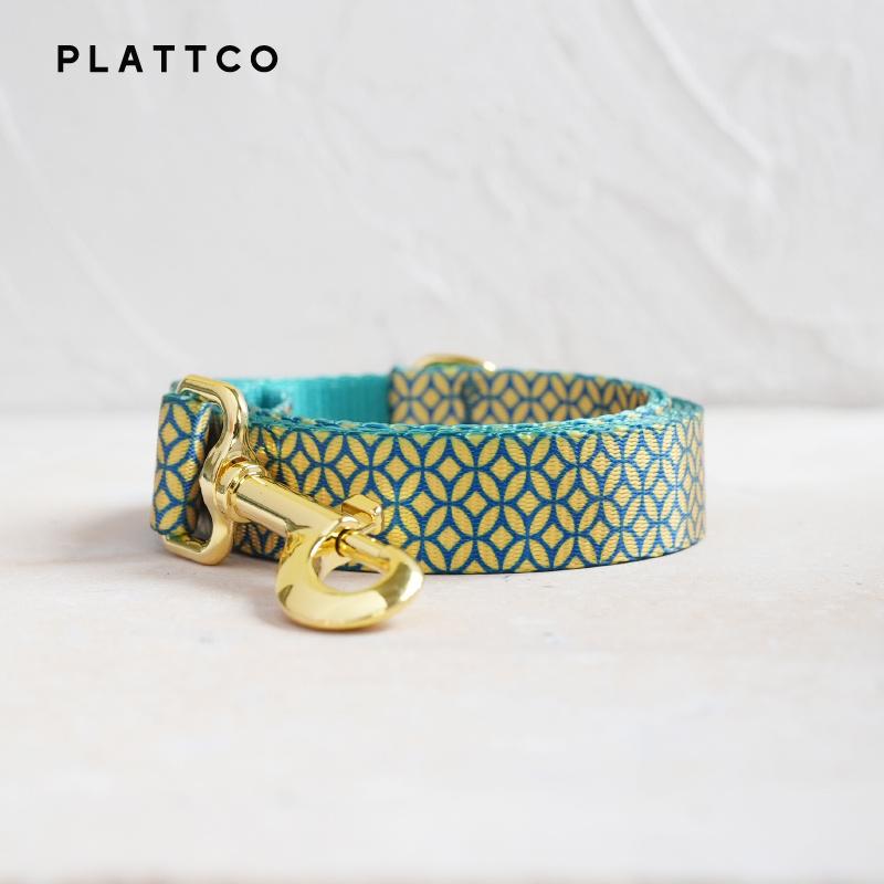 PLATTCO Unique Design Dog Collar Print WEALTHY COINS Pattern and High-quality Gold Buckle Size 5 PDC305YG