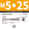 304 Stainless Steel Lead Seal Galvanized Meter Screw with Cross Hole