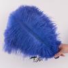 Colored Ostrich Feathers 30-35Cm Stage Performance Wedding Bouquet Decoration Ostrich Feathers
