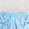 Sweet Sky Blue Girls Mesh Sleeve Top Bowknot Half Skirt Set