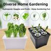 Hydroponics Growing Box 6 Holes Indoor Cultivation System for Household Plants with Sunlight Simulation Feature