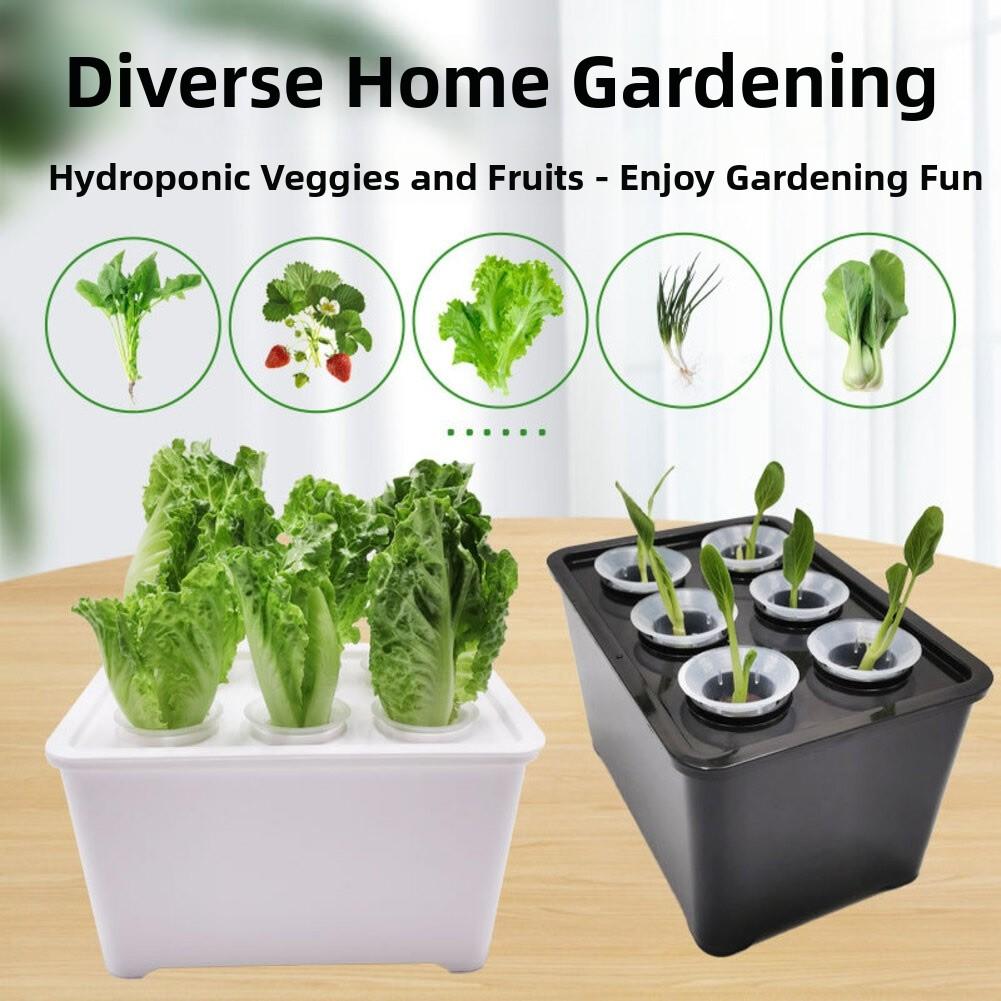 Hydroponics Growing Box 6 Holes Indoor Cultivation System for Household Plants with Sunlight Simulation Feature