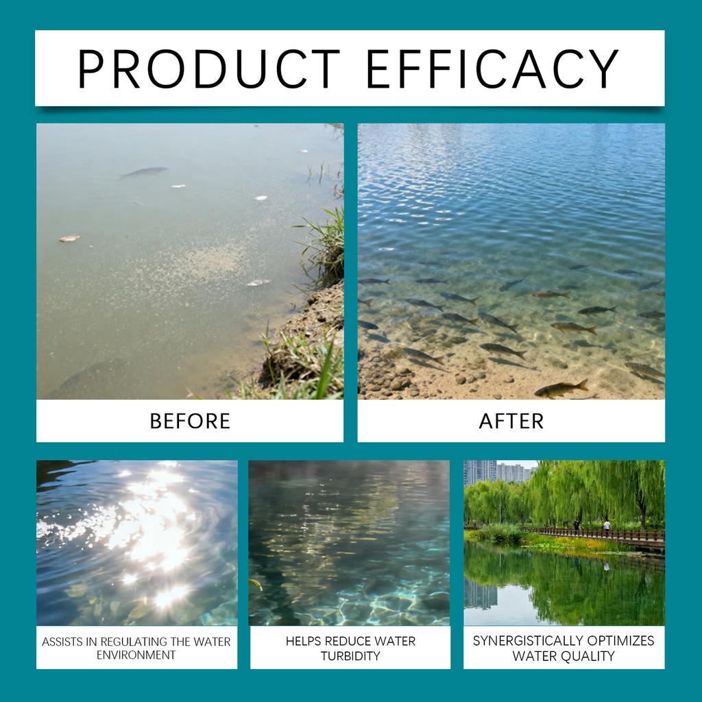 It Is Suitable For Water Quality Improvement And Promote The Healthy Growth Of Aquatic Organisms.