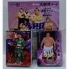 BBM 2024 Sumo Hibiki Regular Card 81 Types Complete Set