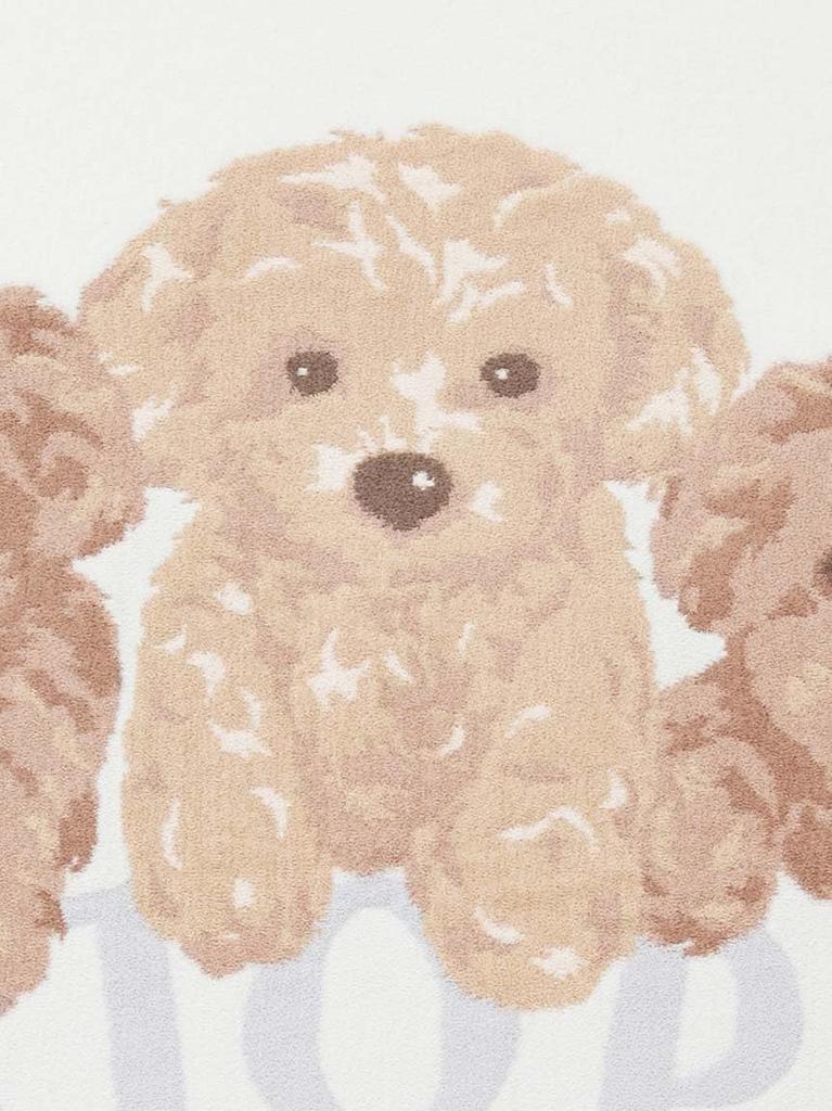 [Gelato Pique] Koc JQD Pudel Zabawkowy PWGG251549OWHTF