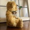 [USED] Merrythought Antique-Style Teddy Bear, Limited Edition of 750, Cheeky Punky