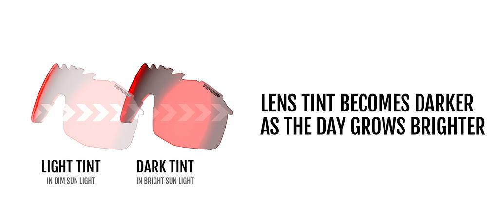 Sunglasses SLEDGE [Tifosi] M-XL