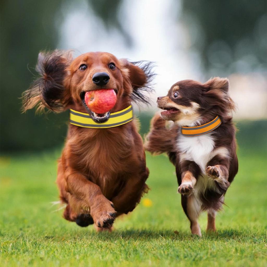 -lost LED Glowing Dog Collar Pet Supplies For Nighttime Dog Walking, Collar With USB Charging And Built-in Reflective Material