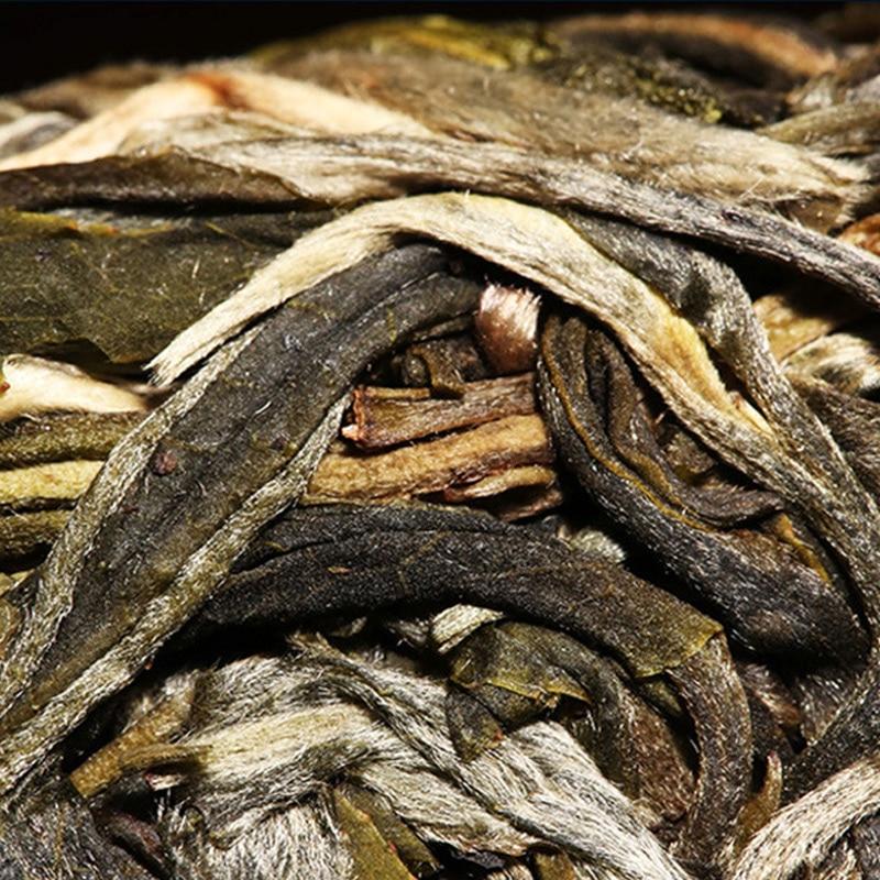 2021 Raw Puerh Tea Jingmai Mountain Ancient Tree Sheng Puerh Tea with Orchid Fragrance 357g