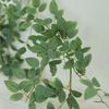 Luxurious Staircase Decor: Bionic Green Rose Vines & Leaves