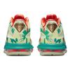 Nike LeBron 9 Low LeBronold Palmer DO9355-300