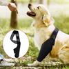 Pet Dog Knee Brace For Joint Pain Muscle Sore Leg Brace Rear Leg Bracer Support For Elderly Disabled Injured Dogs