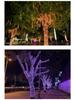 Outdoor Twinkling LED String Lights for Garden, Festival, Wedding, and Christmas Decoration
