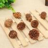Dried Pine Cones 2-3cm - DIY Christmas Ornaments & Decorations