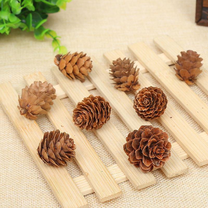 Dried Pine Cones 2-3cm - DIY Christmas Ornaments & Decorations
