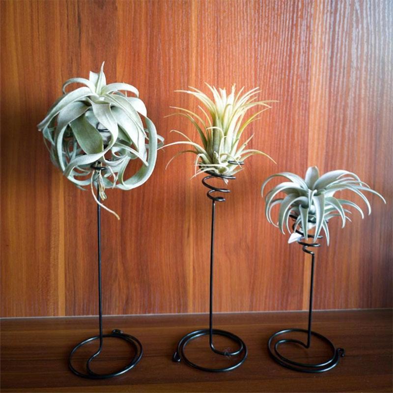 Air Plant Holder 3Size Container Flower Stand Displaying Home Desktop Decoration