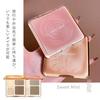 Sweet Mint 2in1 Shading Highlight Shadow Dimension Multi-purpose Palette 1 piece 12g Contouring Nose Base Makeup 5D Cosmetics Matte Powder Small Face
