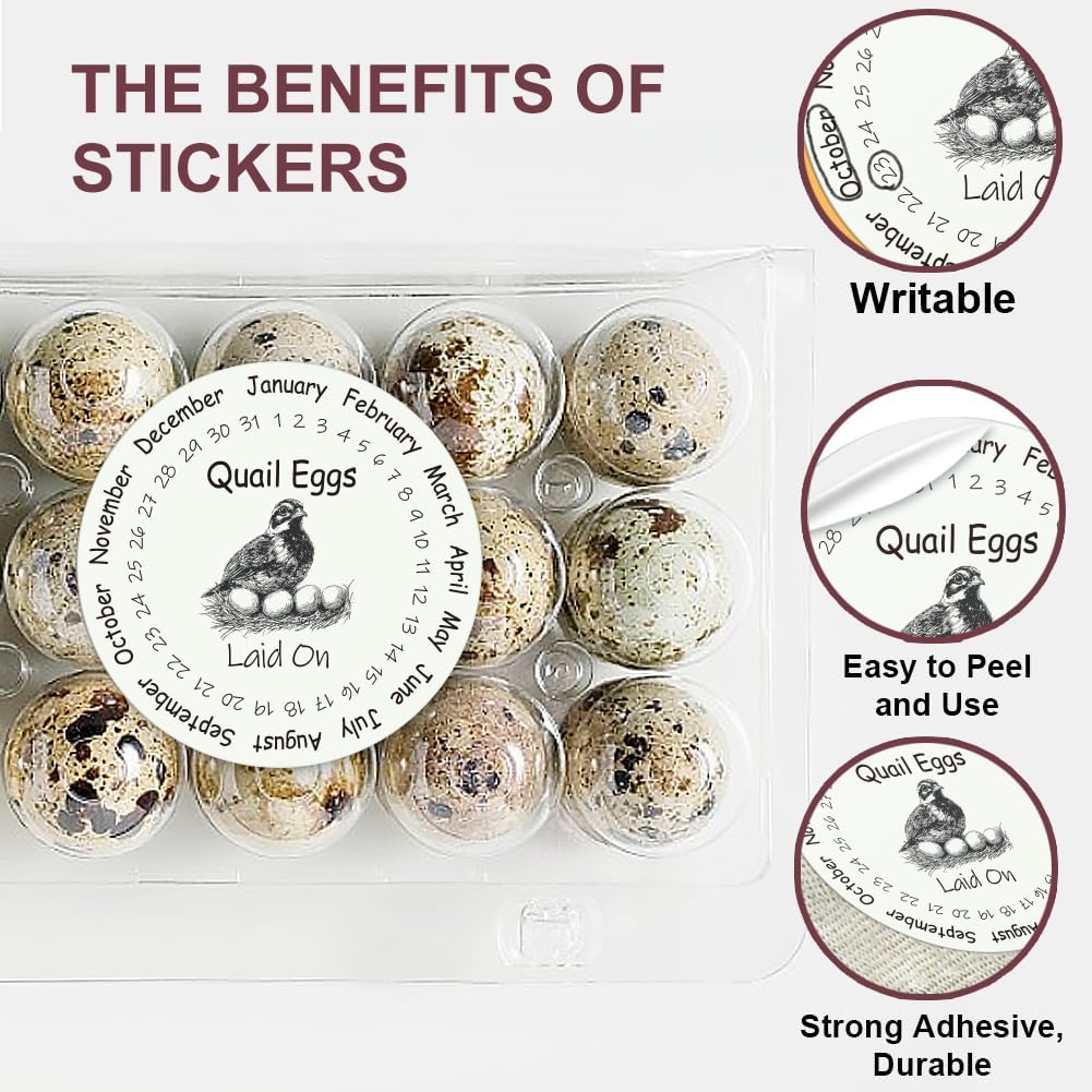 320 Pcs Quail Farm Fresh Eggs Stickers, 2 Inch Round Unwashed Eggs Carton Labels Sticker PET Adhesive Egg Packaging Stickers for Box Container Carton