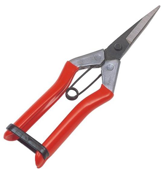 Kinboshi Daifuku Bud Pruning Shears 2286
