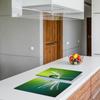 2x GLASS PROTECTIVE PLATE FOR STOVE 40x52 FLOWER