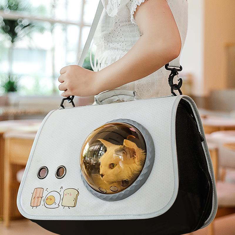 Transparent Crossbody Cat Carrier Handbag