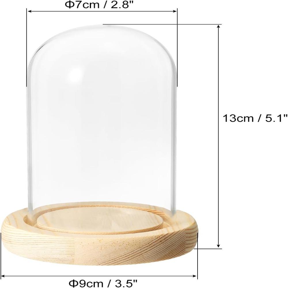 Tabletop Centerpiece Glass Bell Shape Dome with Wooden Base Bell Jar Display Case  Home Decor