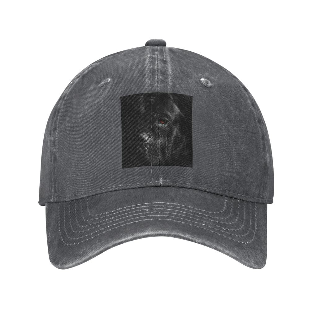 Cane Corso Animal Dog Denim Fabric Cap Casual Baseball Caps Adjustable Hat Summer Unisex Baseball Hats