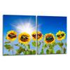2x GLASS PROTECTIVE PLATE FOR STOVE 40x52 FLOWERS
