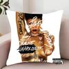 ANTI R-Rihanna  Pillow Case Decor Protective Covers Comfortable soft for Sofa Living Room Home office