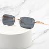 Randlose Leopard Transparente Sonnenbrille Damen Trend Quadratische Sonnenbrille Verziert Street Brille