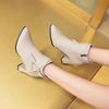 Korean Style Women's Pointed Toe Short Boots with Chunky Heel, Metal Buckle, Side Zipper, Plus Size - Perfect for Autumn and Winter.