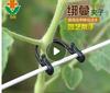 Plant Clips for Climbing Plants, Garden Clips for Supporting Vines and Stems