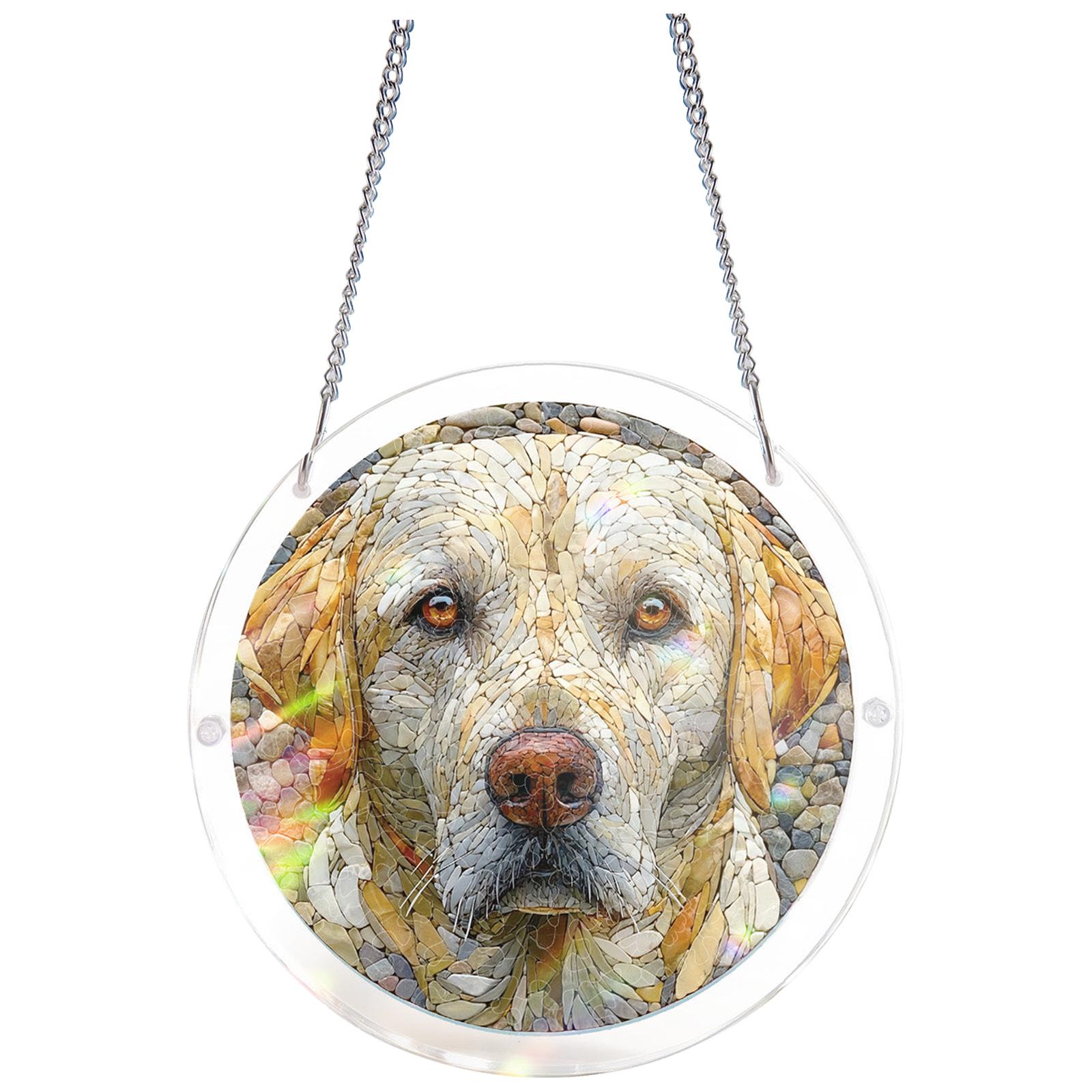 

Round Acrylic Hanging Suncatcher with Chain and Artistic Print Suitable for Indoor or Outdoor Window Decoration One Size чорний