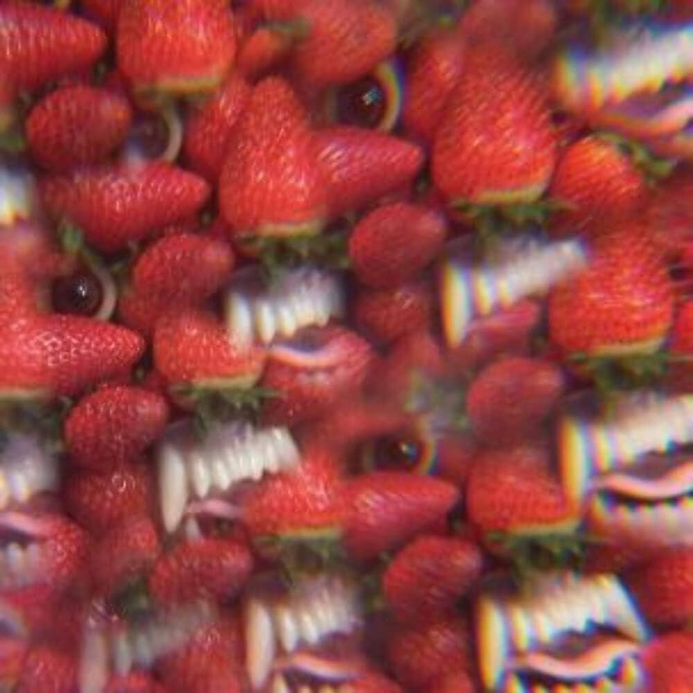 

LP Record THEE OH SEES - Floating Coffin DG004 CASTLE FACE 2013 Czech Repu Rock
