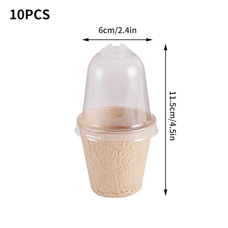 10KS Hrnek na sazenice s víkem Ovoce Zelenina Klíčení semen Hrnek do školky Hrnce na pěstování sazenic Biologicky odbouratelné Jednorázové