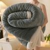 Thickened Double Layer Milk Velvet Lamb Velvet Blanket Office Nap Blanket Student Dormitory Shoulder Wrap Woolen Blanket