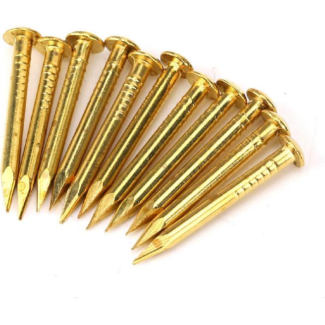 Brass Nails, 100 Pieces Round Head Gold Nails, Brass Wall Pins 10mm 15mm 18mm 22mm, Furniture Brass Tacks for Wood, for Hanging Picture Frame Mirror,