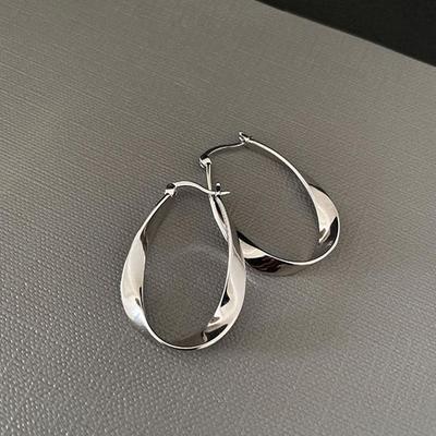 High-End Mobius Silver Needle Earrings and Ear Clips for Women