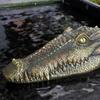 Floating Alligator Head, Pool Accessories Float Fake Alligator Head For Swimming Pool Koi Pools, Resin Ornaments Decoration For Garden Courtyard