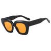JYL TS Sunglasses UV Square Wide Travel/5625A