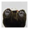 Red Panda 67 No.6309