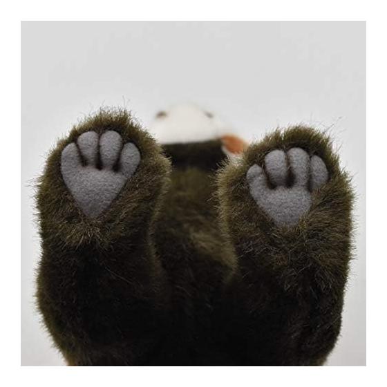 Red Panda 67 No.6309