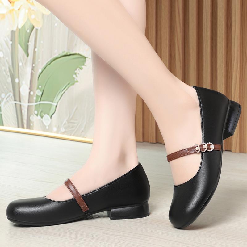 Fashion AIYUQI Mary Jane Shoes Women's 2025 Spring New Shallow Mouth Large-Size Ladies Shoes Commuter Work Shoes Women