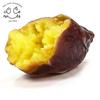 Food Replica Magnet Baked Sweet Potato That Looks Like It Could Be Eaten 336M - -