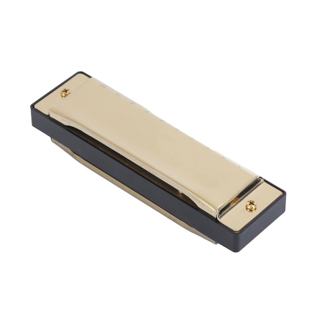 Harmonica 10 Hole 20 Tone G Key Playing Mouth Organ Wind Musical Instrument with Box ClothGold