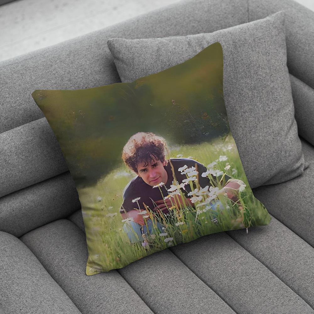 GGustavo Cerati Pillow Case Soft Cushion Cases for Farmhouse Sofa Decor Home Decorations and Protector