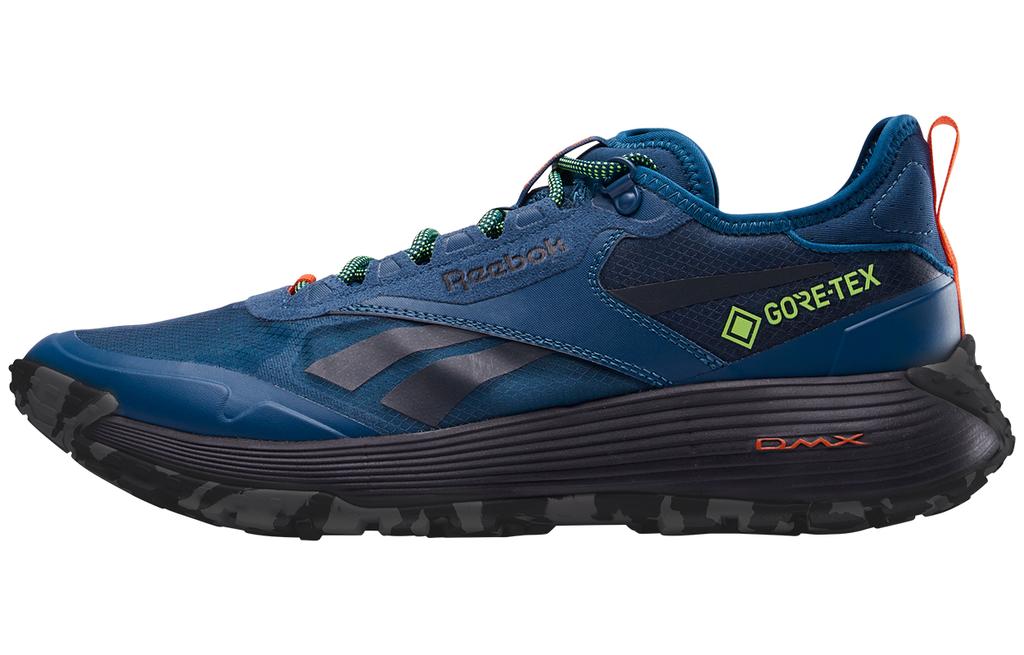 Reebok Dmx Trail GORE-TEX 'Escape Blue' 100200883