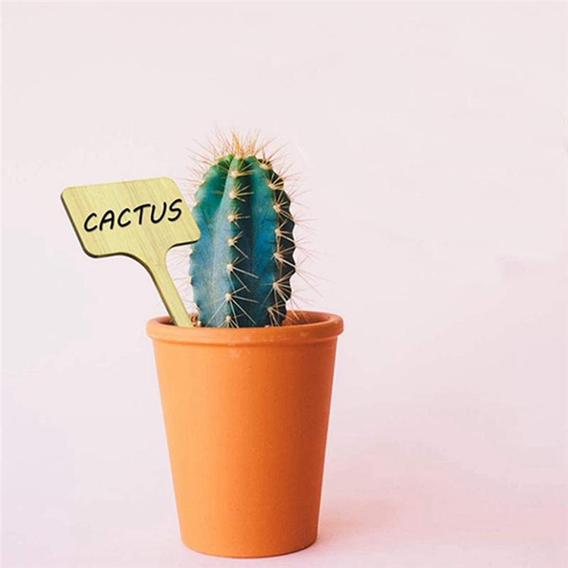 

BHBL 50PCS T-Type Plant Labels Eco-Friendly Wooden Plant Tags Markers for Bonsai Seed Potted Herbs Flowers Tool China Mainland